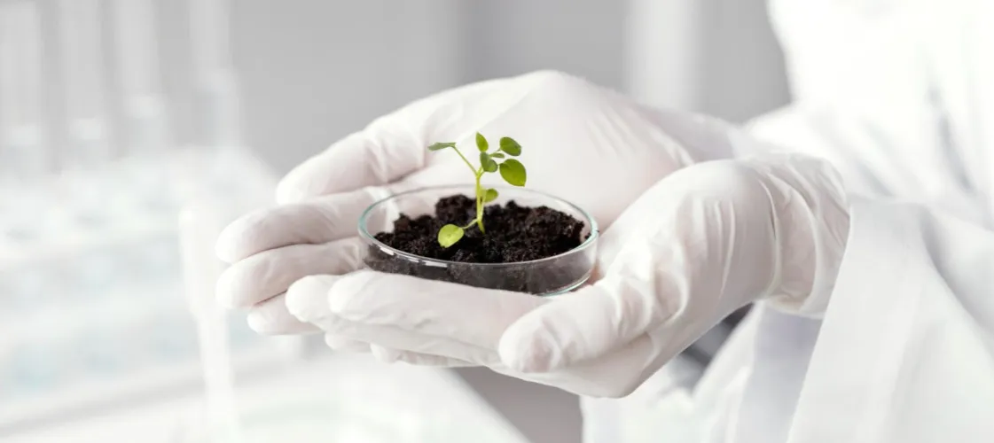 Co po maturze z biologii? Odkryj najlepsze kierunki i zawody