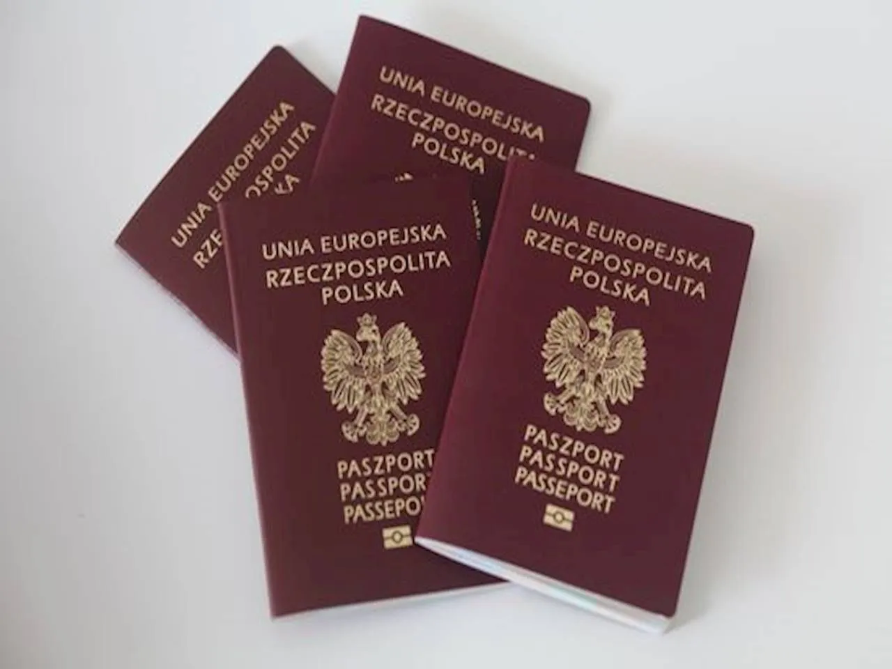 Jak wypełnić wniosek o paszport dla dziecka bez błędów i stresu