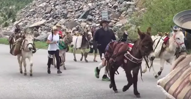 Bieganie za serem: Czy odważysz się zbiec z Cooper's Hill?