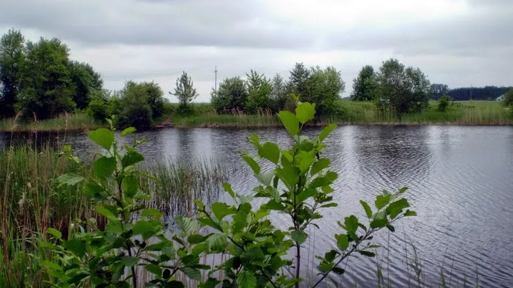 Najlepsze łowiska w Mińsku Mazowieckim: Łowisko Pogorzel i więcej