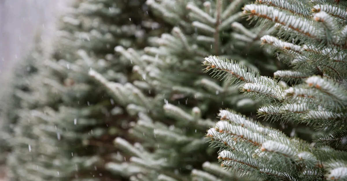 Czy opaski na koła uratują Cię przed poślizgiem? To zimowe fakty