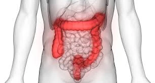 Bakterie w jelicie grubym - groźne objawy zakażenia