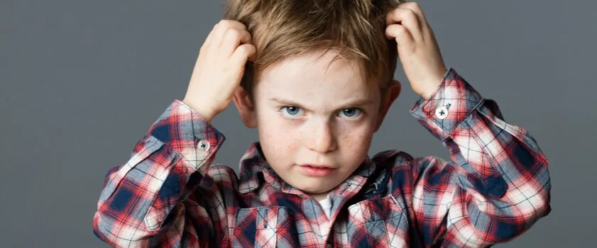 Jak szybko rozmnażają się wszy i jak to wpływa na infestację