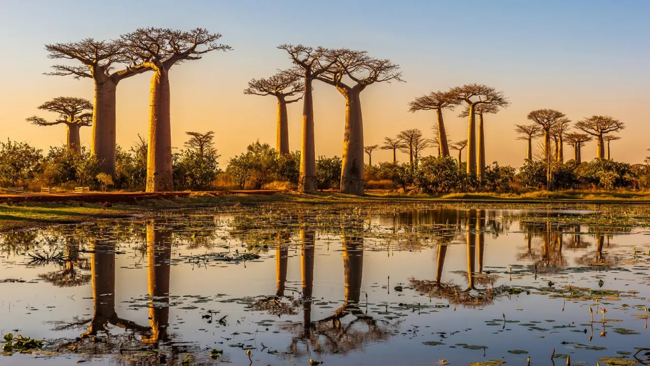 Madagaskar - Kiedy pora deszczowa i najlepszy czas na podróż?