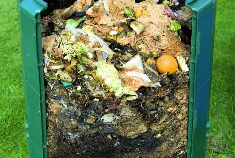 Kompost czy obornik: poznaj najlepszy nawóz dla swojego ogrodu w 2025