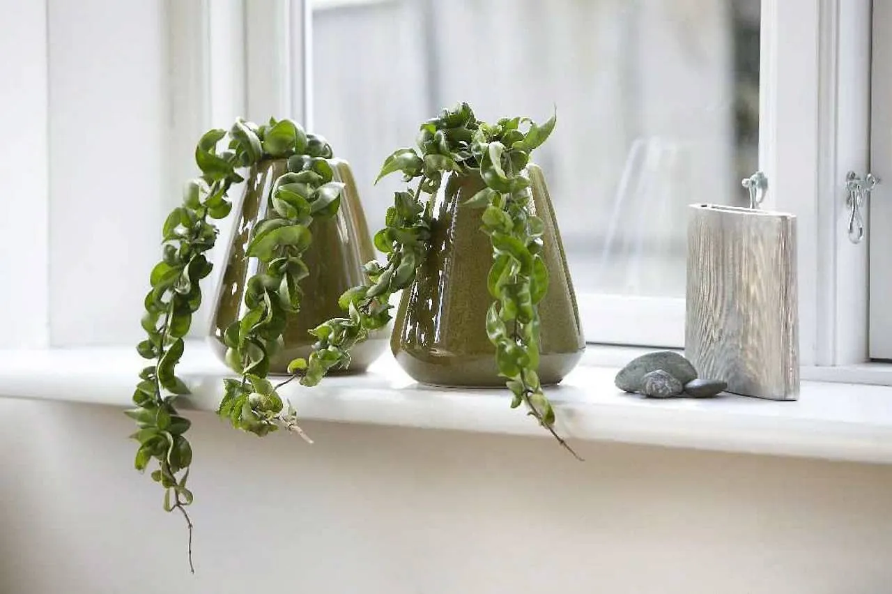 Jakie kwiaty na kwietnik w domu - wybierz rośliny łatwe w pielęgnacji