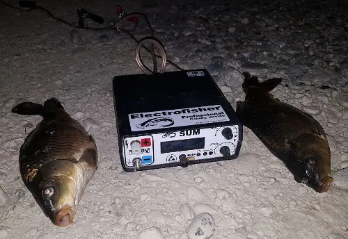 Jak zrobić wędkę elektryczną - proste kroki i niezbędne materiały