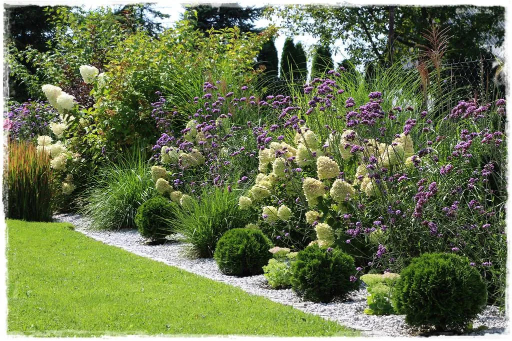 Co posadzić przy ogrodzeniu od ulicy, by zyskać piękny i prywatny ogród