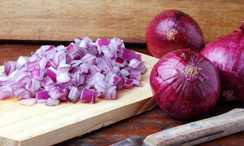 Czy pies może jeść cebulę? Poznaj niebezpieczeństwa i objawy zatrucia