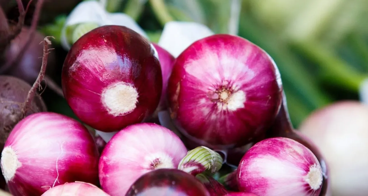 Czy cebula jest zdrowa? Naukowe fakty o właściwościach leczniczych cebuli