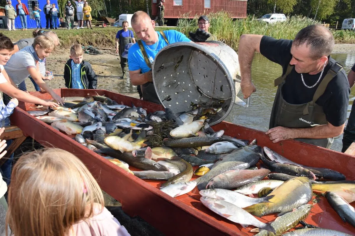 Gdzie zjeść w Dolinie Baryczy? Odkryj najlepsze lokalne smaki