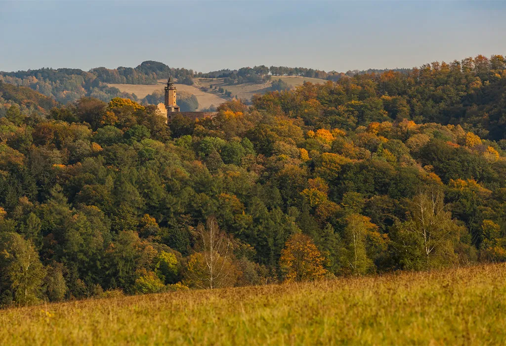 Najciekawsze atrakcje w Zagórzu, które musisz zobaczyć