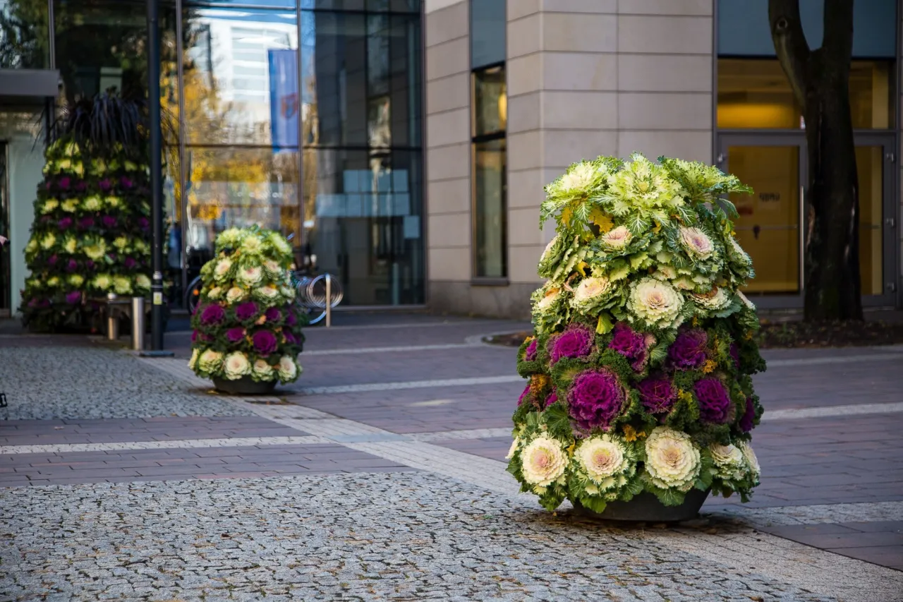 Kwietnik kaskadowy jak zrobić - proste kroki do pięknej aranżacji
