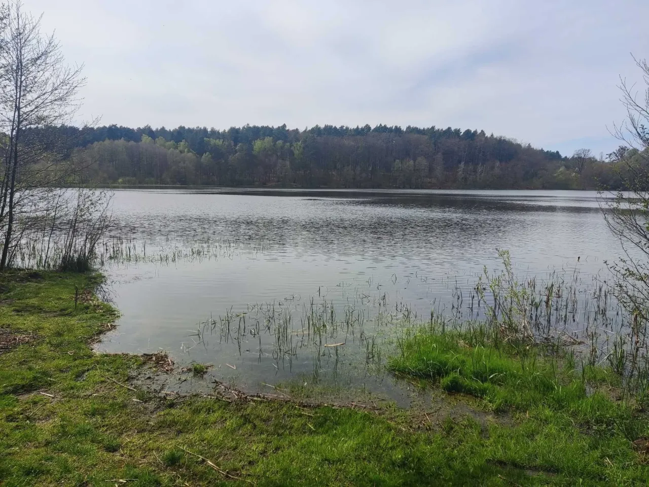 Dzierżawa działki nad jeziorem pomorskie - uniknij kosztownych błędów