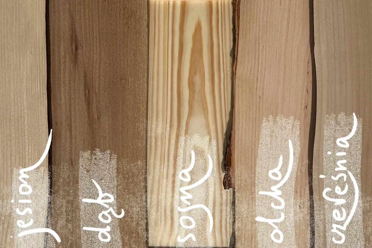 Jak wybrać drewno na meble? Poradnik eksperta