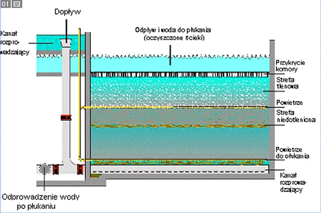 Jak działa oczyszczalnia ścieków? Poznaj proces krok po kroku