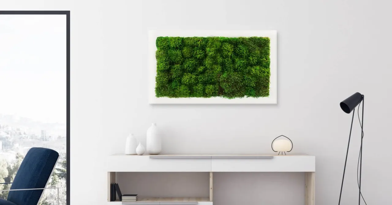 Jak dbać o mech dekoracyjny, aby zachował świeżość i urok?