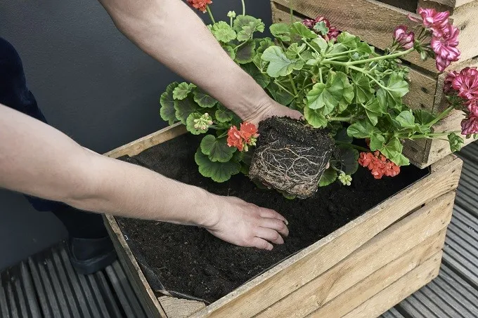 Jak zrobić kwietnik ze skrzynki po jabłkach - proste kroki i porady