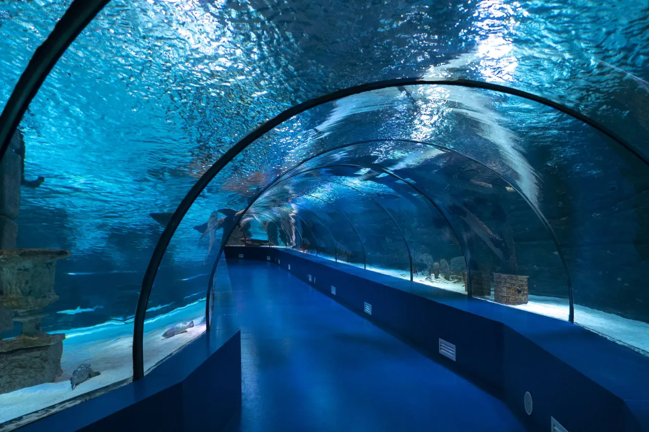 Oceanarium Antalya – Niezapomniane atrakcje i informacje dla odwiedzających