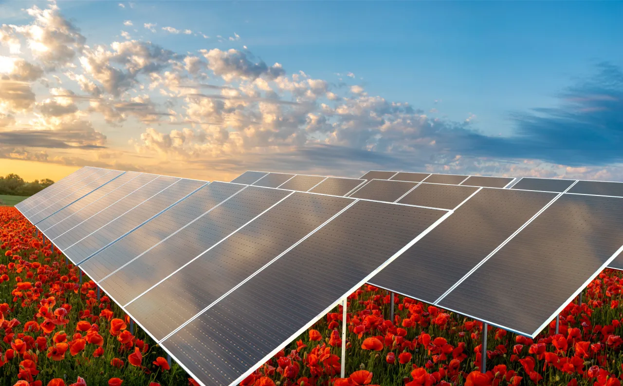 Elektrownie słoneczne jako źródła energii: co warto wiedzieć?