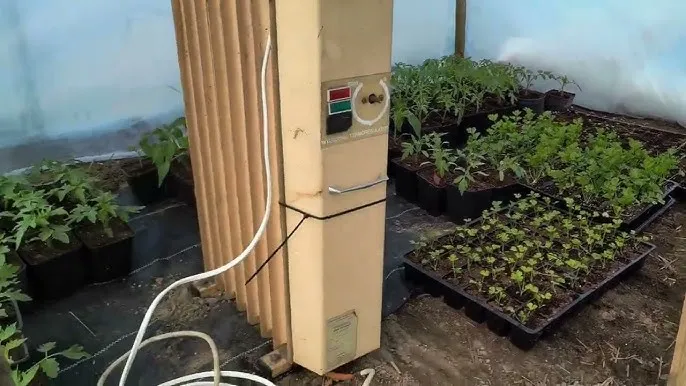 Skuteczne sposoby na ogrzanie tunelu foliowego w razie przymrozków