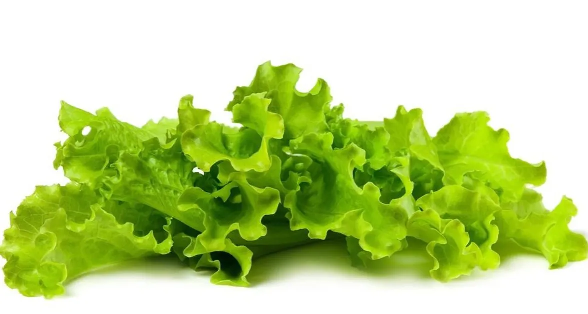 Dlaczego ważne jest zrobić to przed jedzeniem sałaty? Lekarka wyjaśnia