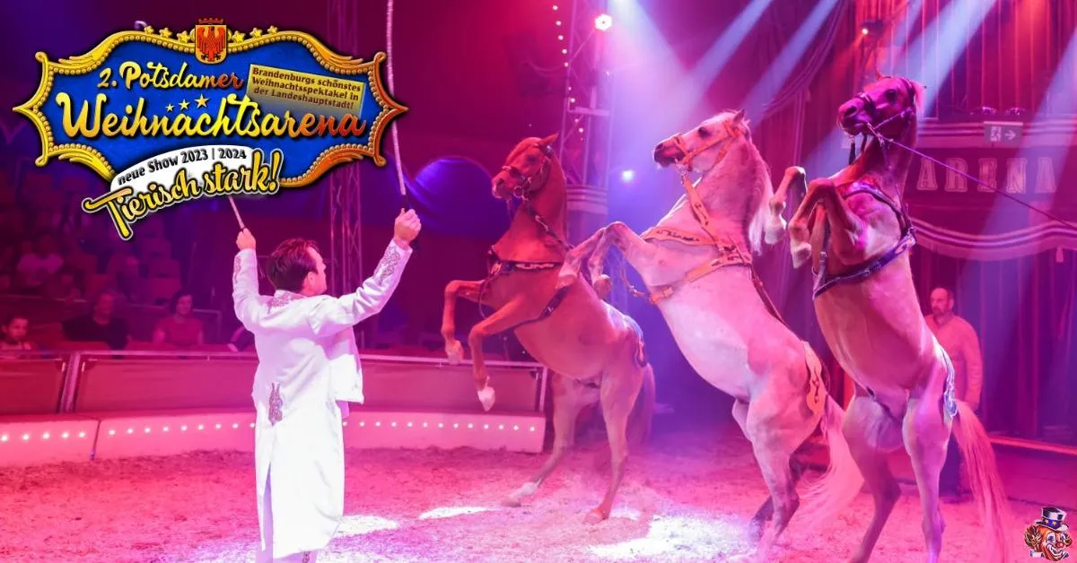 Arena der Attraktionen: Zirkus vs. Phantasialand - Was passt?