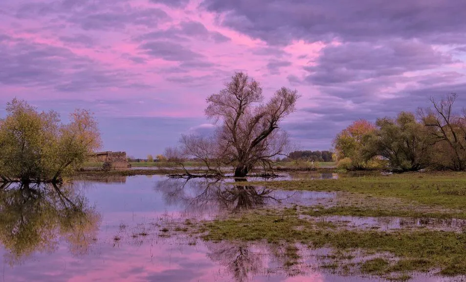 Jak sprawdzić czy działka jest na terenie zalewowym i uniknąć strat