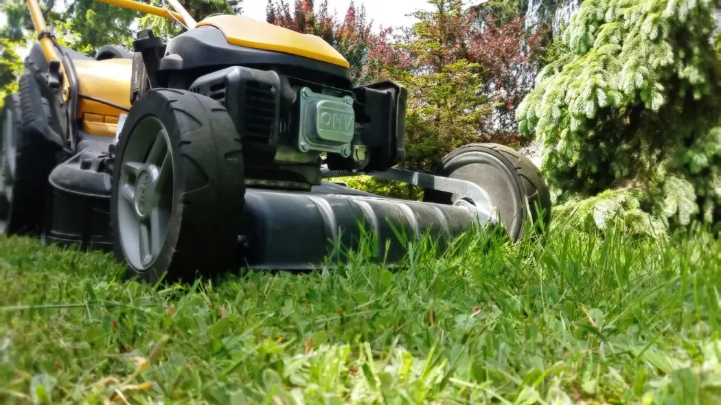 Jaką kosiarkę spalinową kupić? Wybierz najlepszy model dla siebie