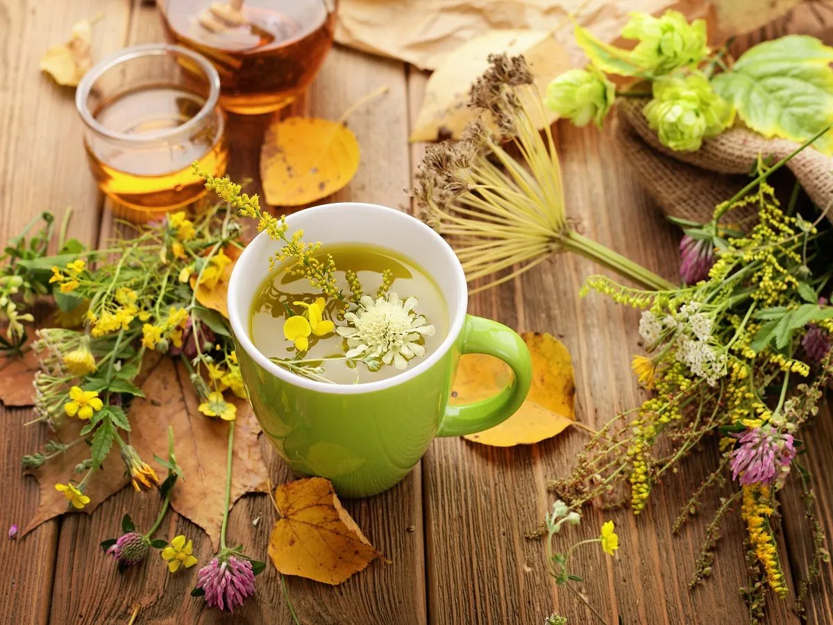 Domowe sposoby na ból gardła: Skuteczne napary i przepisy Gustawa