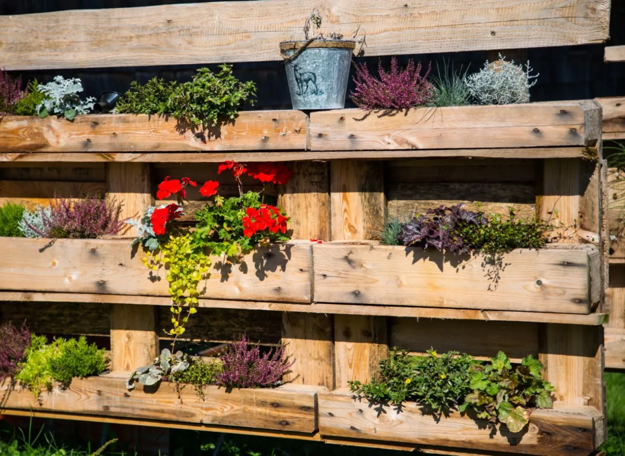 Jak zrobić kwietnik z drewna - krok po kroku i niezbędne porady