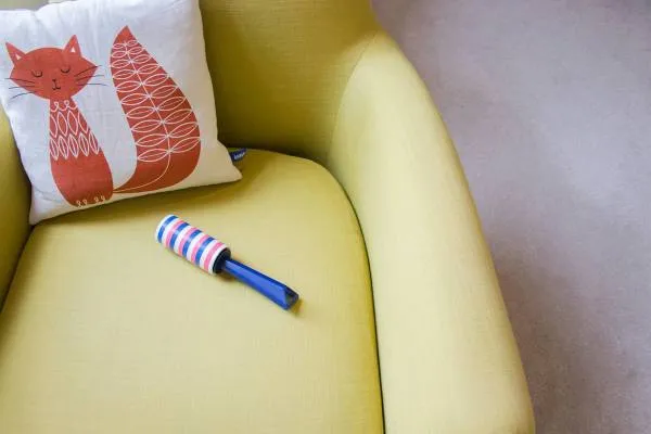 Skuteczne sposoby na pozbycie się sierści z koca bez wysiłku