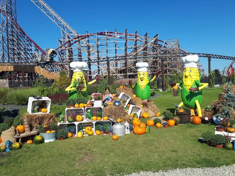 Puszczykowo atrakcje dla dzieci: najlepsze miejsca na rodzinny wypoczynek