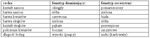Biologia: Czym jest genetyka i jak wpływa na dziedziczenie cech