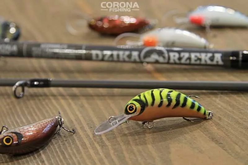 Najlepsze przynęty na jazia: poradnik od A do Z