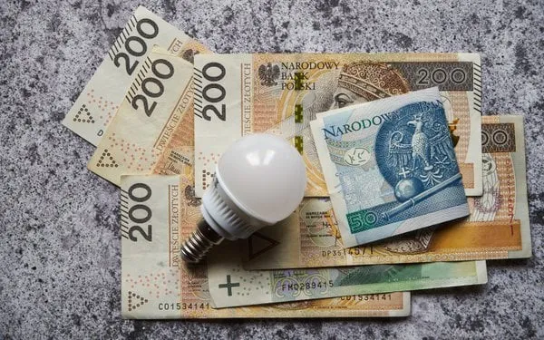 Gdzie złożyć oświadczenie o zamrożeniu cen prądu i uniknąć problemów?