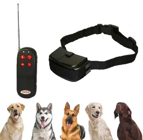 Jak używać obroży elektrycznej dla psa bezpiecznie i skutecznie