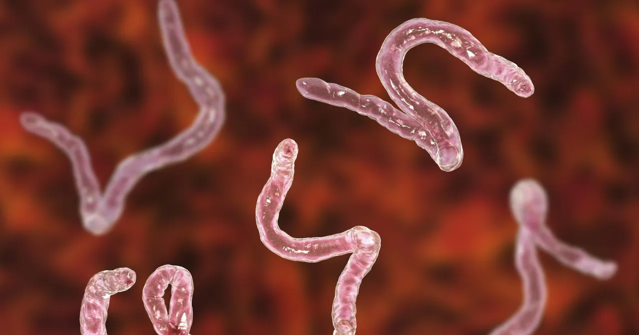 Jakie leki na lamblie u dzieci - skuteczne metody leczenia i objawy