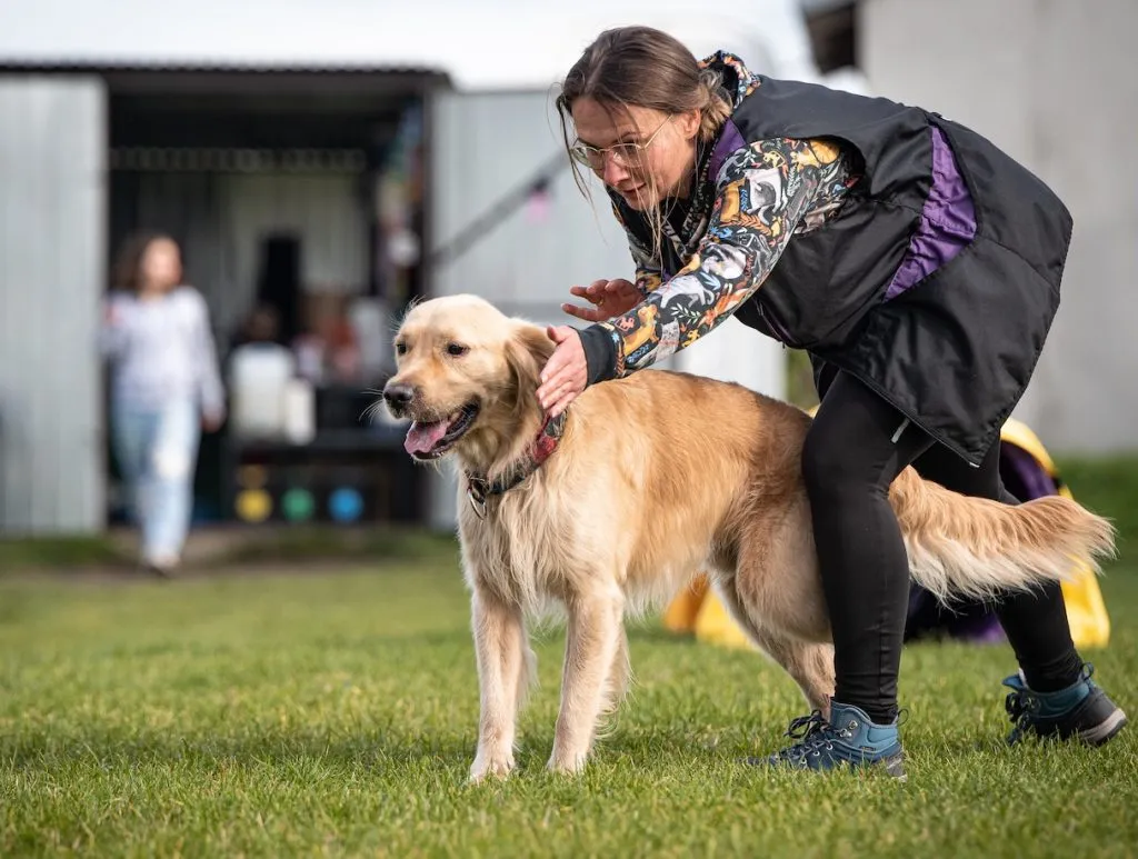 Jak skutecznie szkolić golden retrievera i unikać problemów z posłuszeństwem