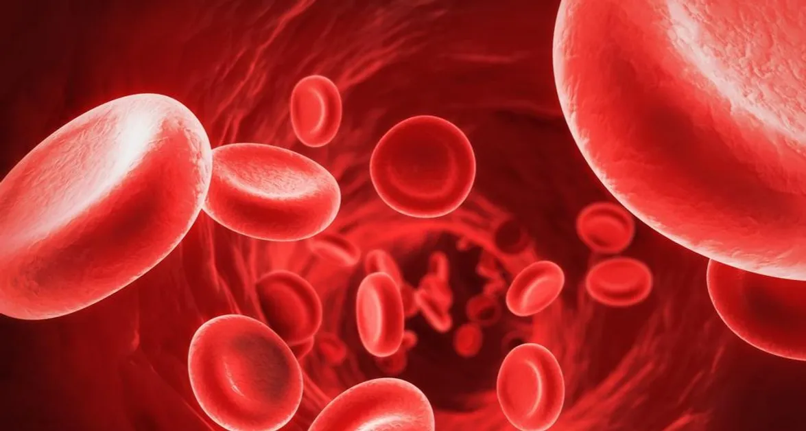 Czy mogę wypić kawę przed badaniem krwi? Sprawdź, co musisz wiedzieć