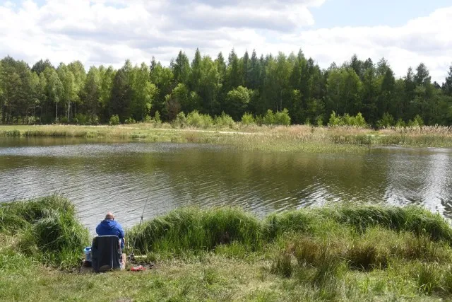 Świętokrzyskie na wędkę 2026: Najlepsze łowiska PZW i komercyjne