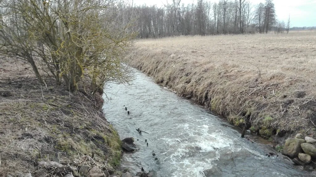 Kiedy zaczyna się sezon wędkarski? Sprawdź daty i regionalne różnice