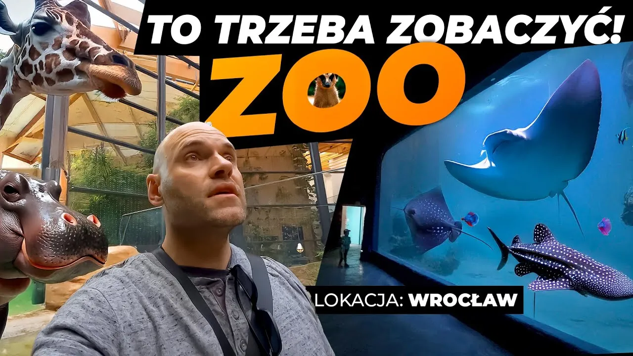 Czy afrykarium i oceanarium to to samo? Poznaj zaskakujące różnice