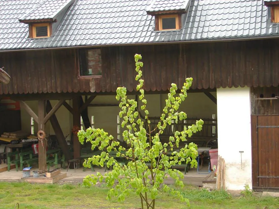 Skansen Gottwaldówka - odkryj historię i atrakcje Kątów Bystrzyckich