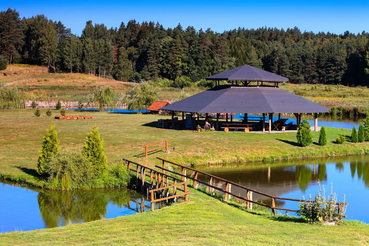 Łowisko komercyjne na stawach w Polsce – łowienie bez karty wędkarskiej