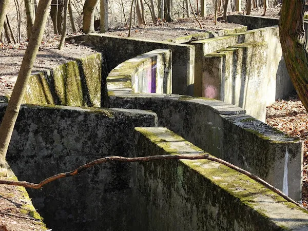 Tajemnicze schody w lesie. Mrożące krew w żyłach historie zza drzew