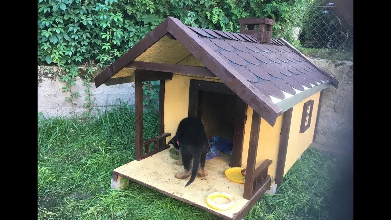 Jak zrobić budę dla psa z płyty OSB - proste kroki i ważne wskazówki