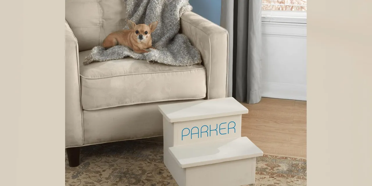 Jak zrobić schody dla psa - proste kroki, które ułatwią życie twojemu pupilowi