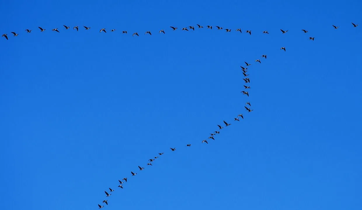 Tekst piosenki czekam na wiatr co rozgoni - analiza i znaczenie utworu Tekst piosenki czekam na wiatr co rozgoni - analiza i znaczenie utworu