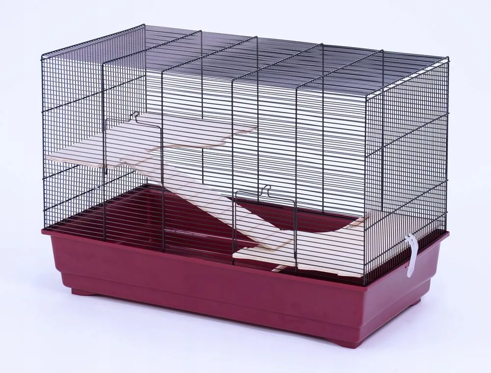 Ile kosztuje klatka dla szczura? Ceny, które zaskoczą każdego właściciela